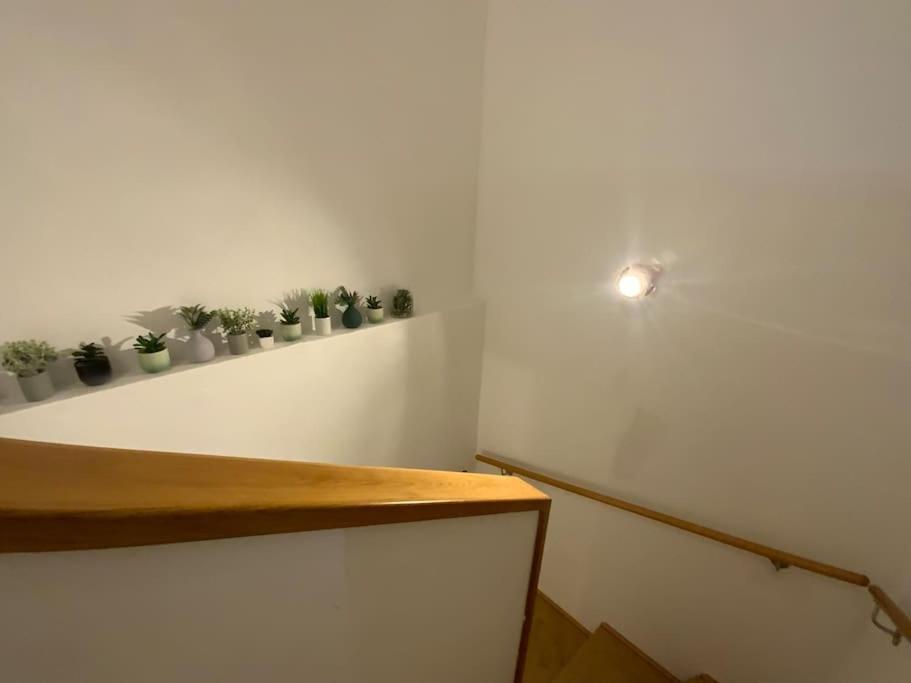Erleben Sie L Bg3 Wien
