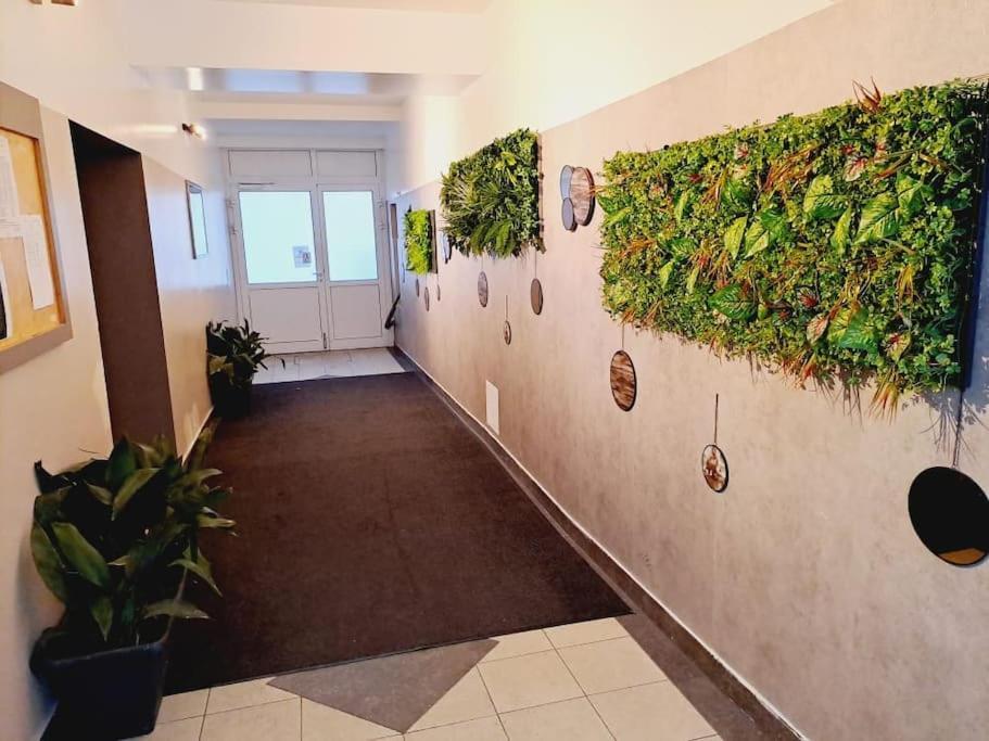 Appartement Erleben Sie L Bg3 Wenen