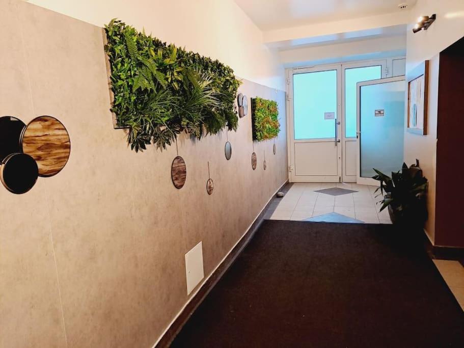 Erleben Sie L Bg3 Appartement